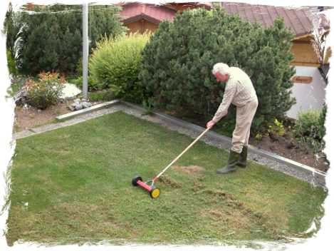 Gardening in 2005