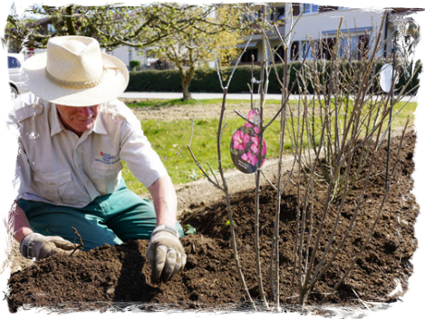 Gardening in 2020